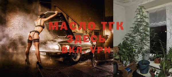 spice Михайлов