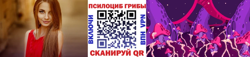 купить наркоту Алдан Галлюциногенные грибы Cubensis
