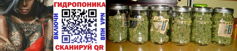 Бошки марихуана White Widow  Алдан 